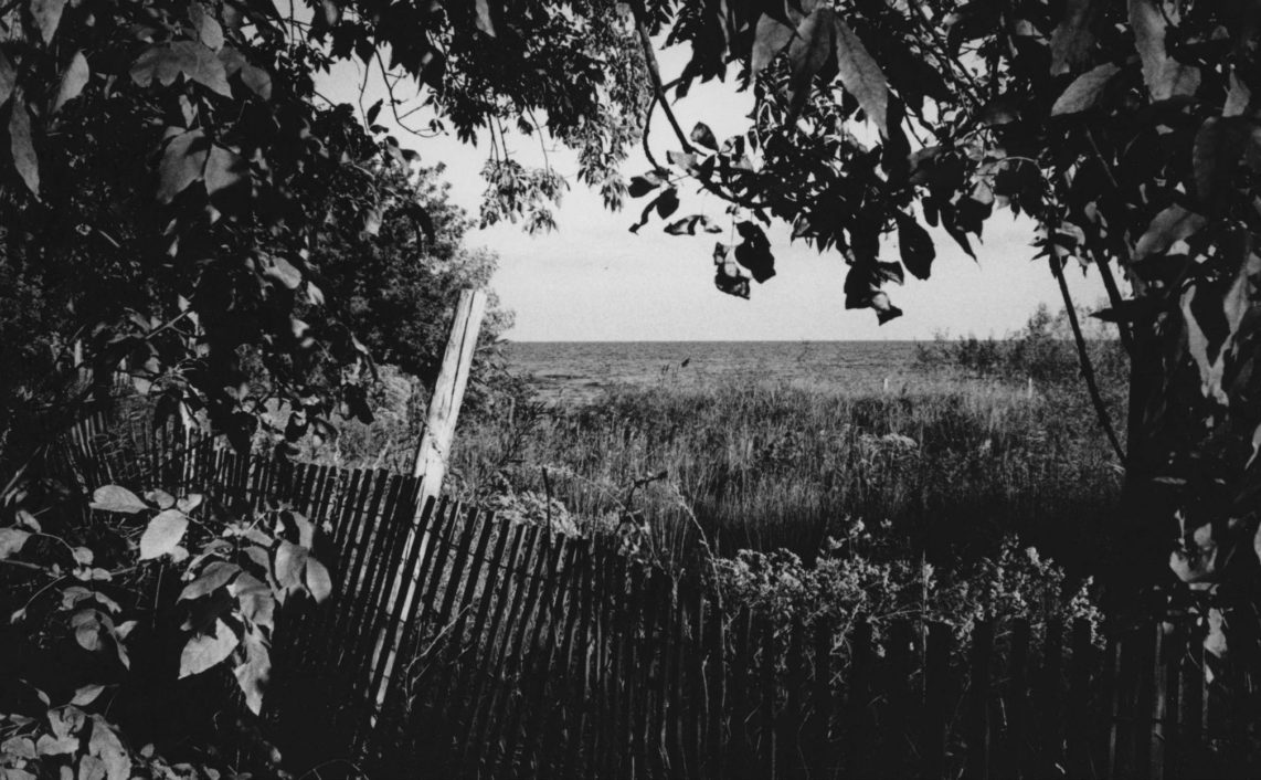 fence surrounded by foliage with lake in background