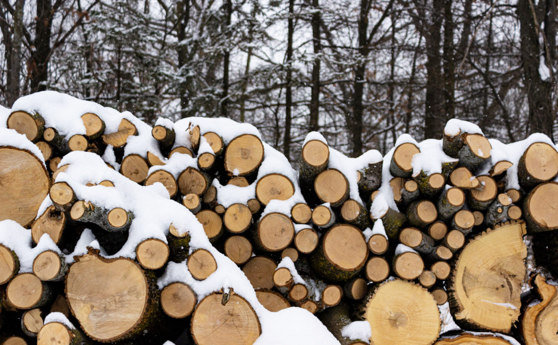 cut logs with trees in background covered with snow