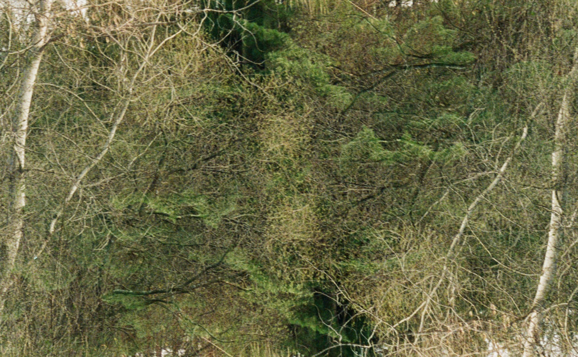 vertical flip double exposure of hiking trail
