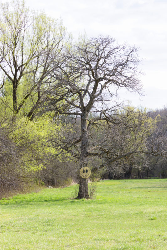 tree with a retro smiley face sign on it