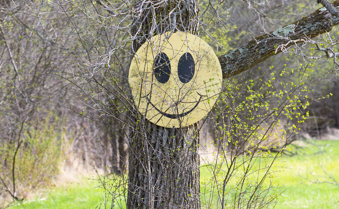 close up of tree with a retro smiley face sign on it