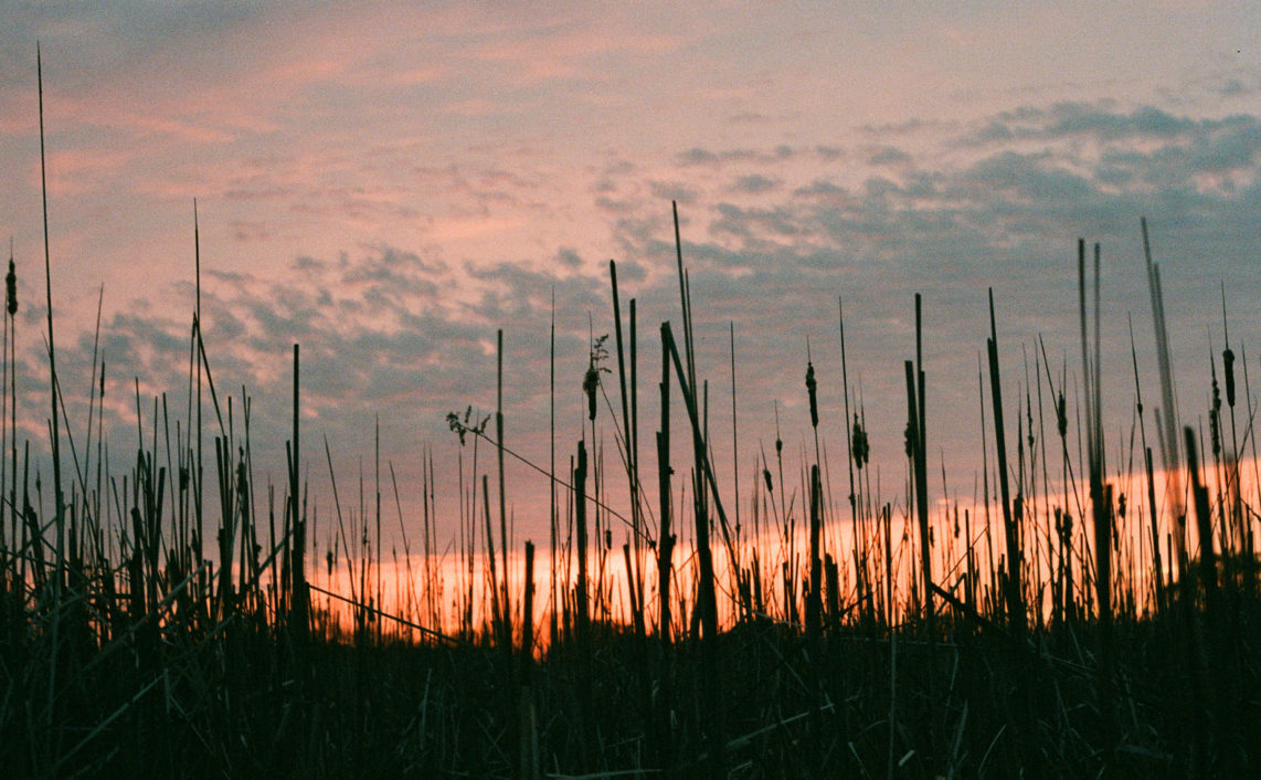 sunset landscape with grass foreground